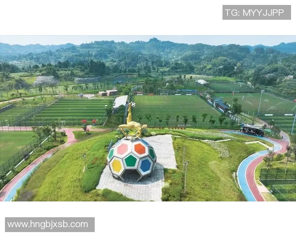 深入分析北京飞盘队独特防守策略与战术执行细节